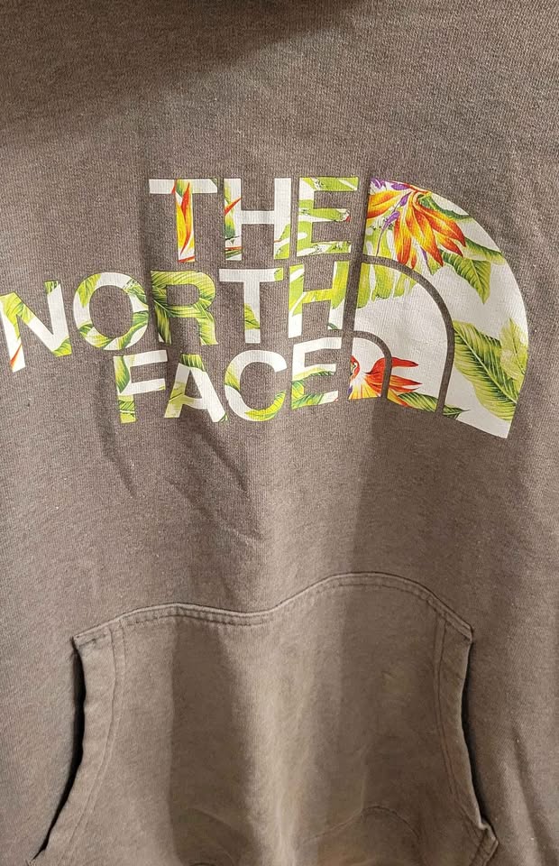 Authentic The North Face Pullover Hoodie — Size L/XL - Image 4