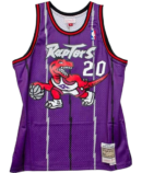 Mitchell & Ness Damon Stoudemire Toronto Raptors Men's Purple Swingman Road Jersey (new) — Small